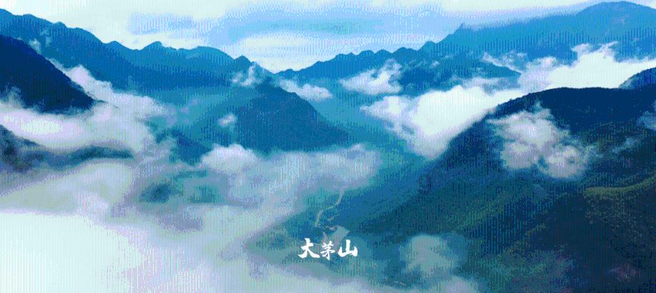 异械危机